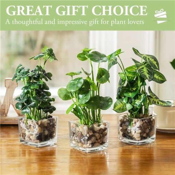 Set of 3 Artificial Plants, Faux Tabletop Greenery w/Clear Glass Pots - Picture 4 of 6